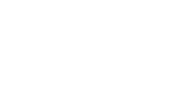 DMC — Decorative Modified Clay